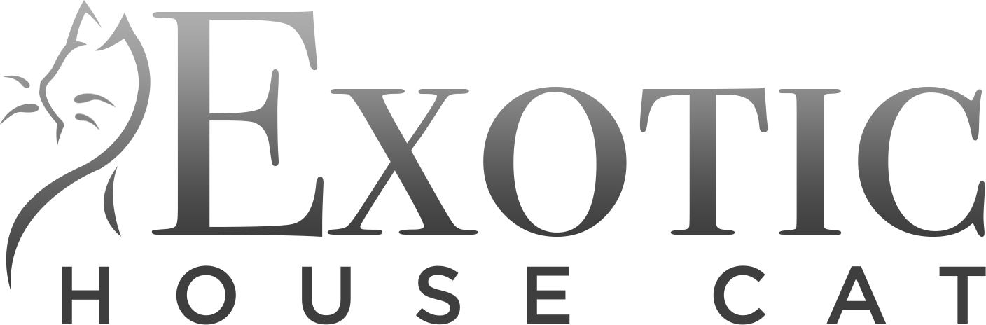 Exotic House Cat logo